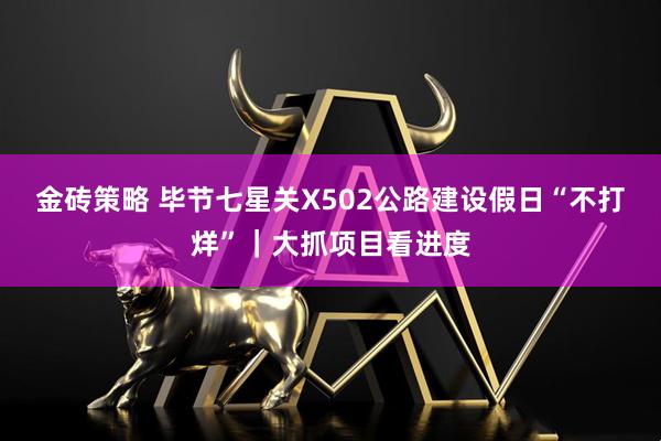 金砖策略 毕节七星关X502公路建设假日“不打烊”｜大抓项目看进度