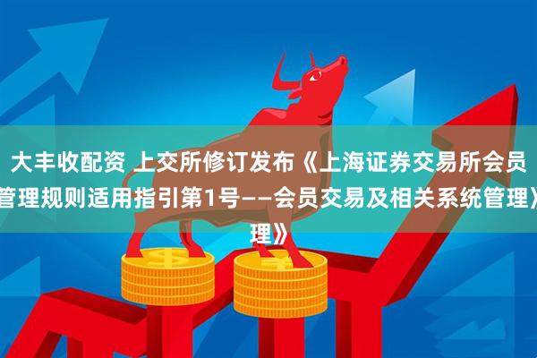 大丰收配资 上交所修订发布《上海证券交易所会员管理规则适用指引第1号——会员交易及相关系统管理》